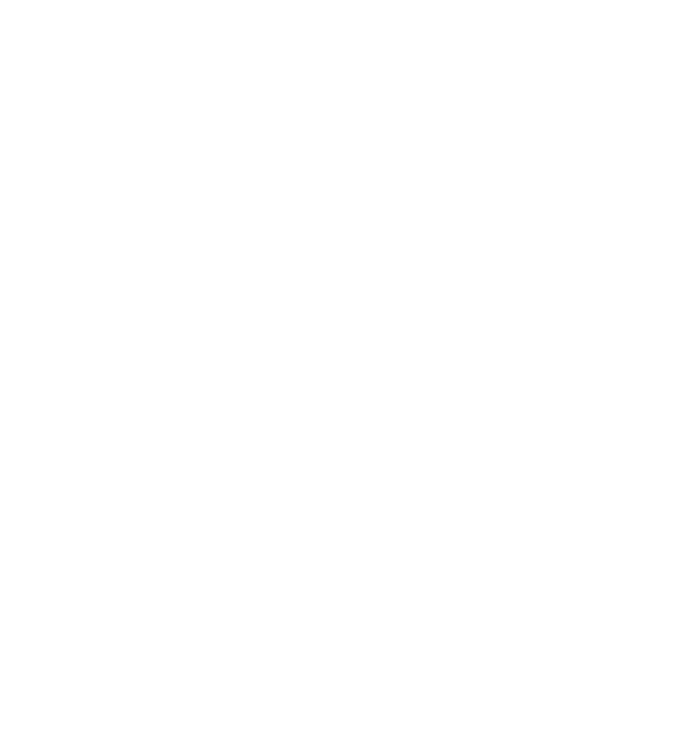 dr ferdinand logotype white